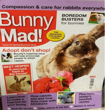 Product: Bunny Mad 31