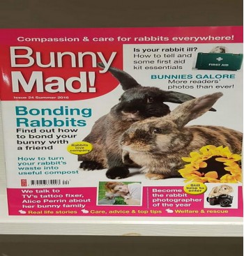 Product: Bunny Mad 24 Product: Bunny Mad 24