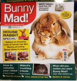 Product: Bunny Mad 32 - Actuele voorraad: 2