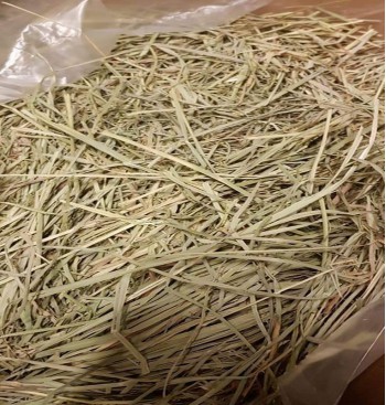 Product: Gras Amerikaans Product: Gras Amerikaans