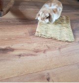 Product: Grof gras mat   (sloop) - Actuele voorraad: 10