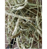 Product: Timothy gemengd 3 landen - Actuele voorraad: 14