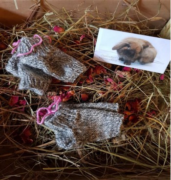 Product: sore hocks rabbit sokken Product: sore hocks rabbit sokken
