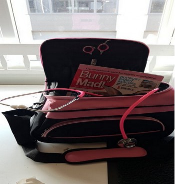 Product: Trim tas de Luxe Pink Product: Trim tas de Luxe Pink