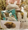 Product: Goodiebag konijn 1