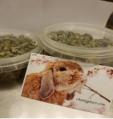 Product: .Mineraal brokjes - Actuele voorraad: 163
