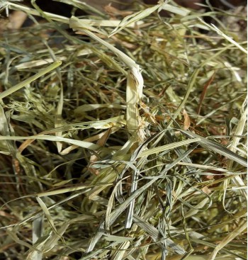 Product: Smikkel hooi 10 kg baal Product: Smikkel hooi 10 kg baal