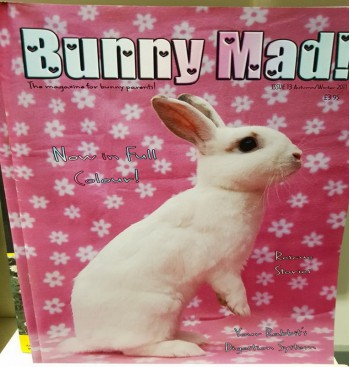 Product: Bunny Mad 13 spijsvertering Product: Bunny Mad 13 spijsvertering