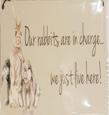 Product: Rabbits are in charge Product: Rabbits are in charge