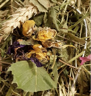 Product: Chanty gras gedroogd mix 2 Product: Chanty gras gedroogd mix 2