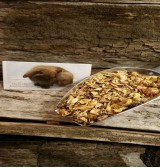 Product: .Chanty s kruiden muesli  - Actuele voorraad: 32