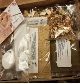 Product: *Proef pakket met dwangvoer - Actuele voorraad: 13