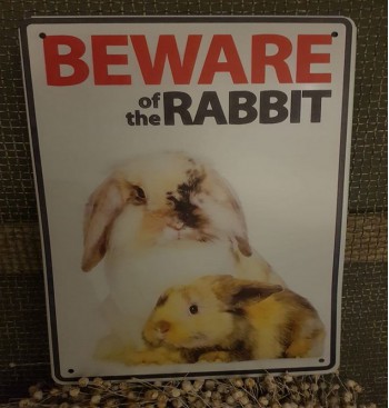 Product: Beware of the Rabbit 1 Product: Beware of the Rabbit 1