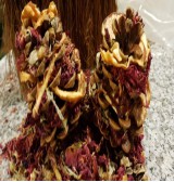 Product: .Dennen appel appel roos - Actuele voorraad: 88