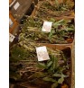 Product: Kruiden Grof Box