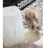 Product: Waterbak konijnen - Actuele voorraad: 9