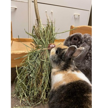 Product: Bunny Broom mint Product: Bunny Broom mint