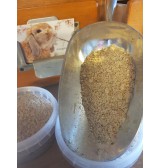 Product: Golden Oldy Dwangvoer - Actuele voorraad: 319