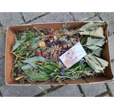 Product: Dierendag suprice box Product: Dierendag suprice box
