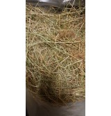 Product: Chanty flower hay 2 - Actuele voorraad: 373