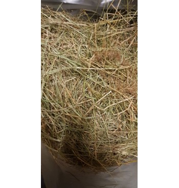 Product: Chanty flower hay 2 Product: Chanty flower hay 2
