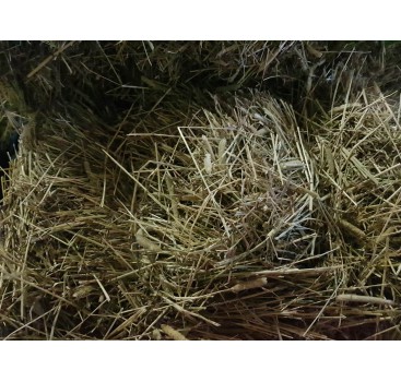 Product: *Timothy hooi Zweeds grof B Product: *Timothy hooi Zweeds grof B