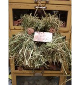 Product: Timothy Hay Bell Duo - Actuele voorraad: 94