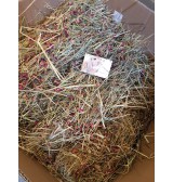Product: Best off Chanty Place hooi box 1 - Actuele voorraad: 16