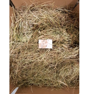 Product: Chanty special hooi box 1 Product: Chanty special hooi box 1