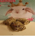 Product: Bunny Broom Christmas - ChantyPlace.com
