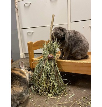 Product: Best off Chanty Bunny Brooms 3* Product: Best off Chanty Bunny Brooms 3*