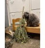 Product: Best off Chanty Bunny Brooms 3*