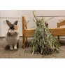 Product: Best off Chanty Bunny Brooms 3*