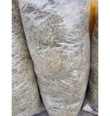 Product: Chanty Hay - Actuele voorraad: 0
