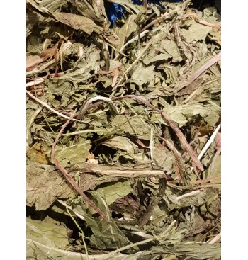 Product: Paardenbloem Blad de Luxe Product: Paardenbloem Blad de Luxe