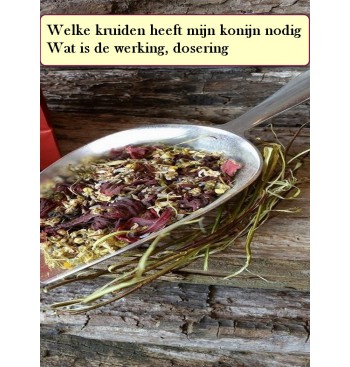 Product: Chanty kruiden consult op maat Product: Chanty kruiden consult op maat