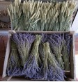 Product: lavendel bloemen - ChantyPlace.com