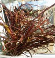 Product: *Wilgen rol xl gevuld - ChantyPlace.com