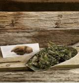 Product: Framboos blad  - Actuele voorraad: 138