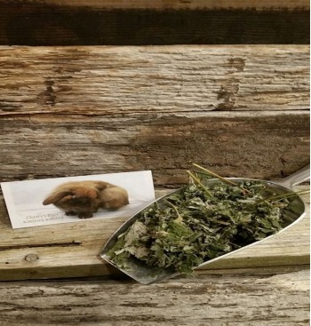 Product: Framboos blad 50 gr Product: Framboos blad 50 gr