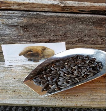 Product: zonnebloem pitten 50 gram Product: zonnebloem pitten 50 gram