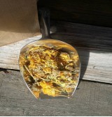 Product: Goudsbloem  - Actuele voorraad: 180