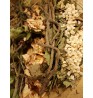 Product: Late Summer mix