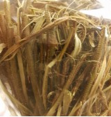 Product: Wilgenbast gedroogd xxl - Actuele voorraad: 17