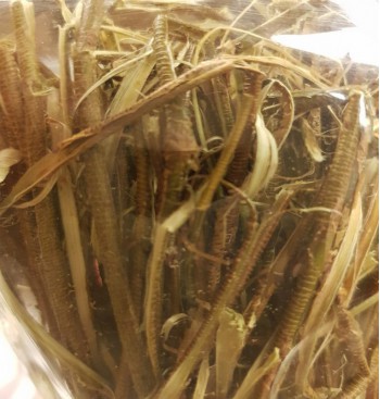 Product: Wilgenbast gedroogd xxl Product: Wilgenbast gedroogd xxl