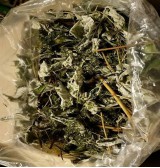 Product: Grof kruiden, fruit mix!   - Actuele voorraad: 11