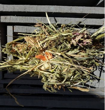 Product: Sensation nr 4 s echina/ wortel 4x Product: Sensation nr 4 s echina/ wortel 4x