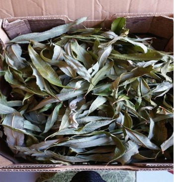 Product: wilgen blad gedroogd Product: wilgen blad gedroogd