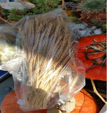 Product: spelt aren Product: spelt aren