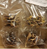 Product: .Gevulde dennenappels 4x - Actuele voorraad: 91